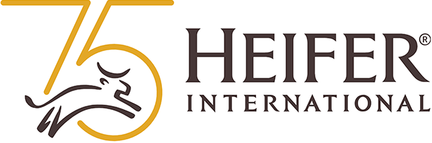 find overseas jobs and employment international careers and international job boards